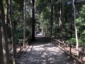 千葉県松戸市「21世紀の森と広場」をさらりとお散歩（3月中旬）